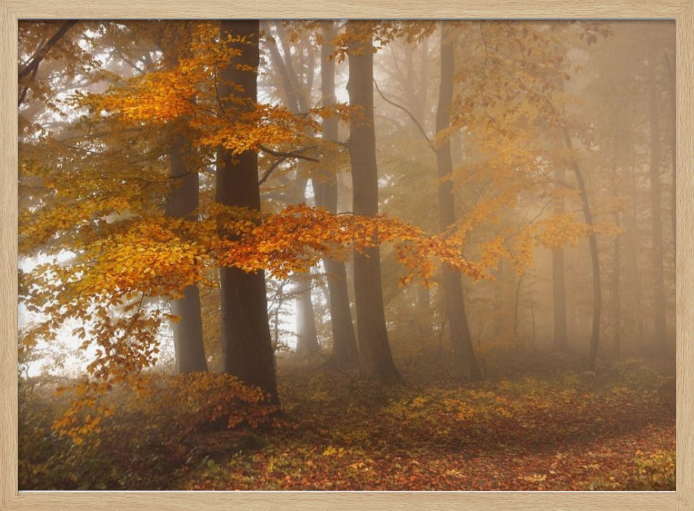 Rand van het bos | Poster