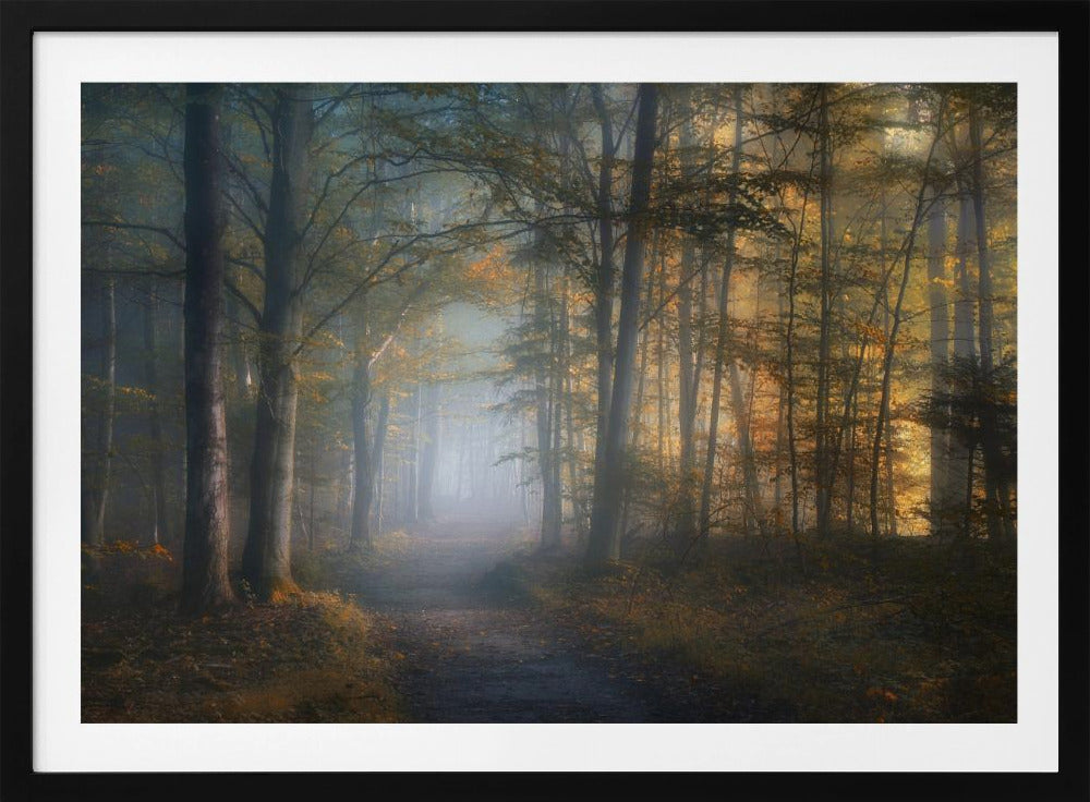 herfstsymfonie | Poster