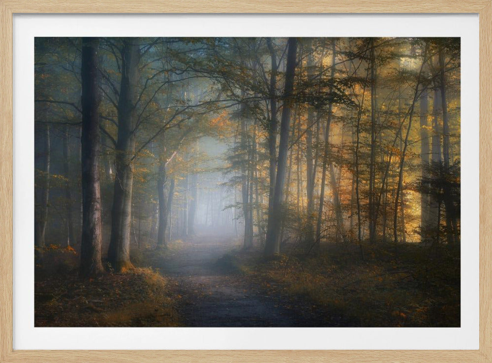 herfstsymfonie | Poster