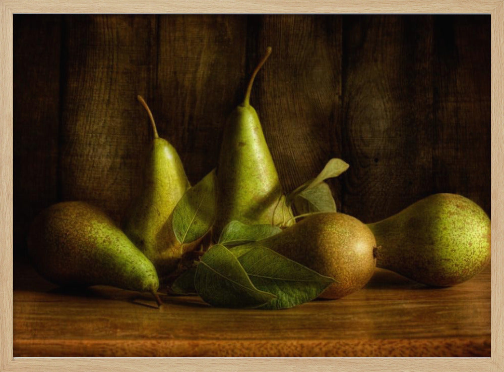 Peren | Poster