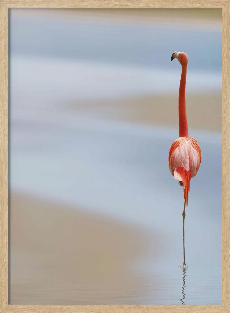 Ik | Poster