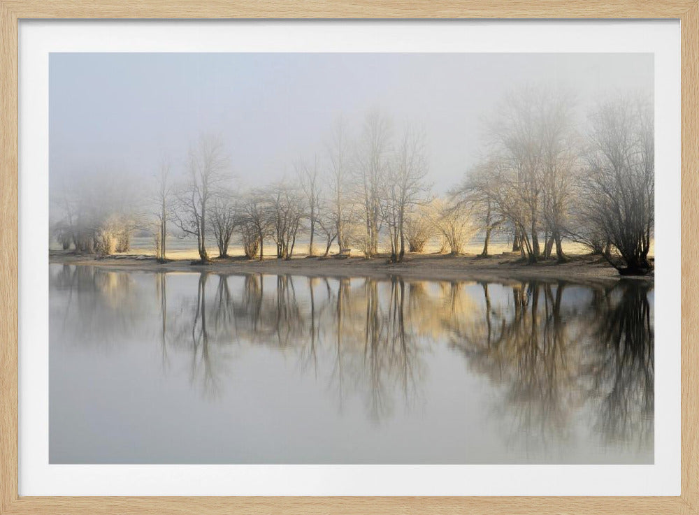 januariochtend | Poster