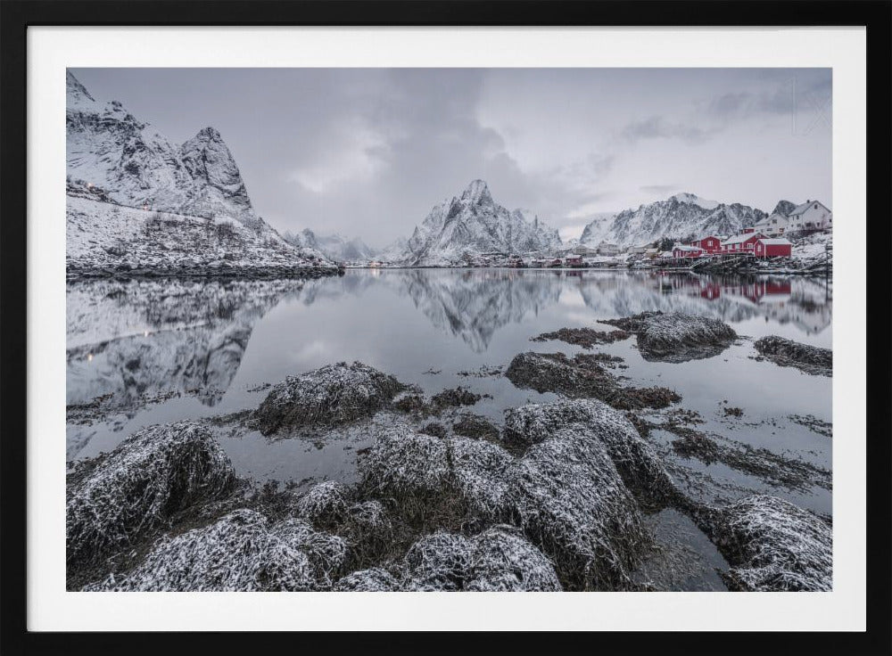 Reine | Poster