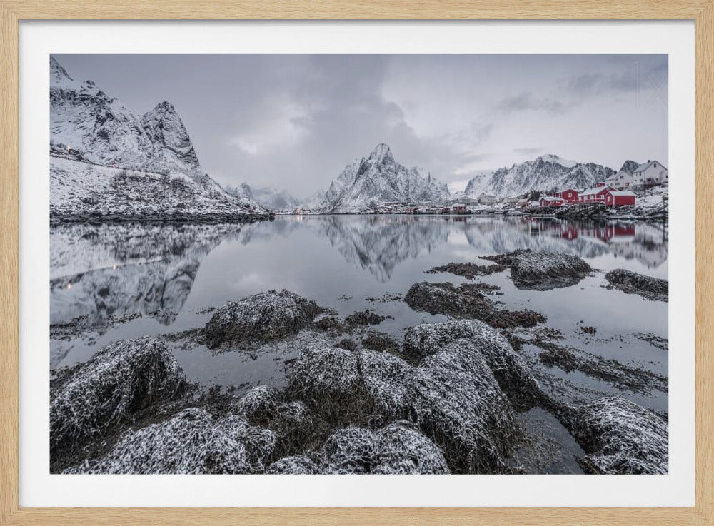 Reine | Poster