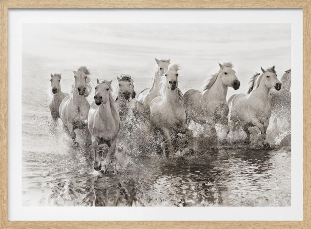 Illusie van kracht (al is het maar 13 pk) | Poster