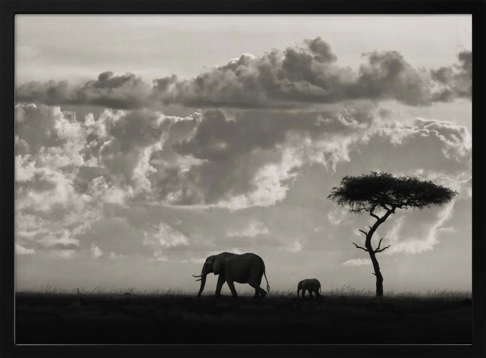 Silhouetten van Mara | Poster