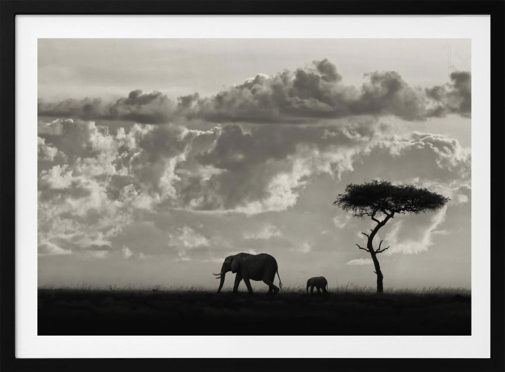 Silhouetten van Mara | Poster