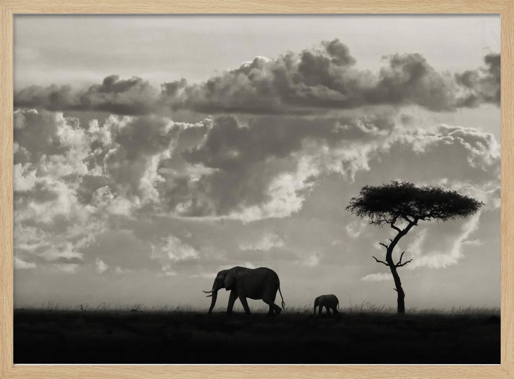 Silhouetten van Mara | Poster