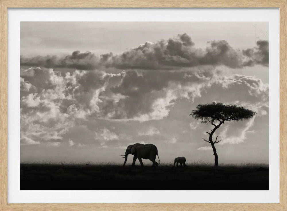 Silhouetten van Mara | Poster