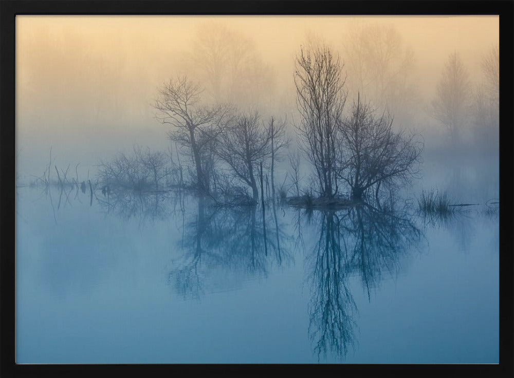 Ochtendreflectie | Poster
