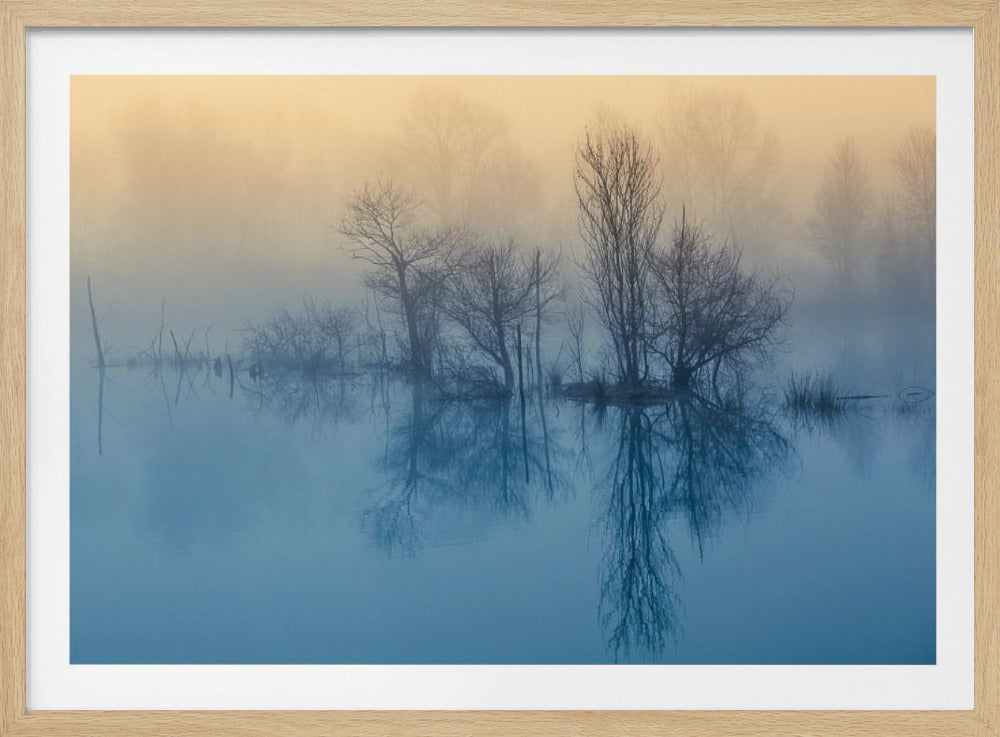 Ochtendreflectie | Poster