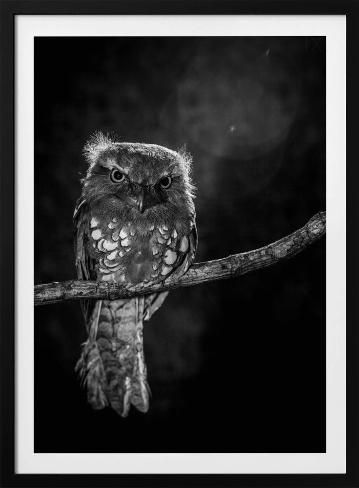 Alleen in de nacht | Poster