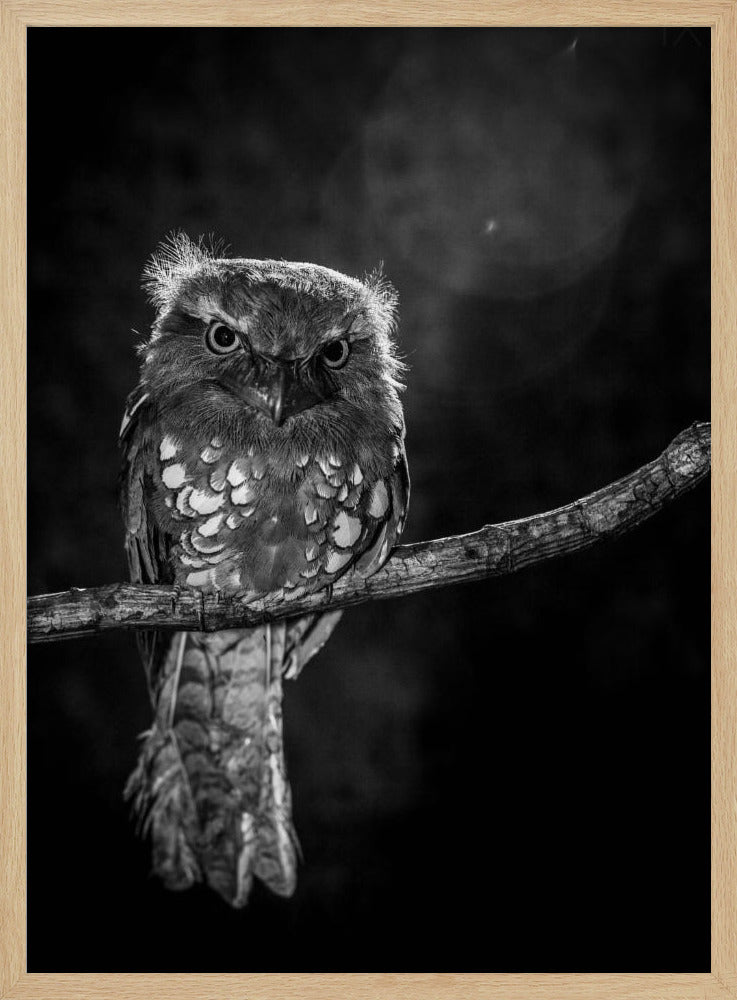 Alleen in de nacht | Poster