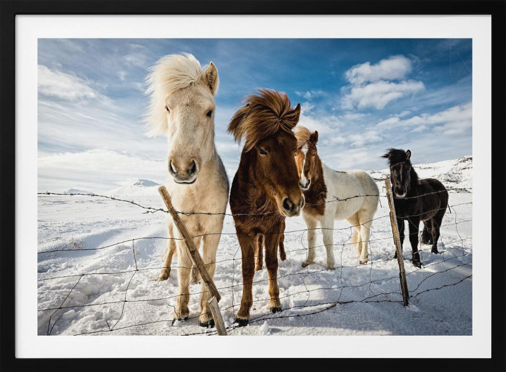 IJslands kapsel | Poster