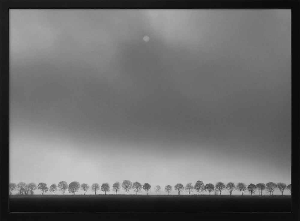 Polderlandschap | Poster
