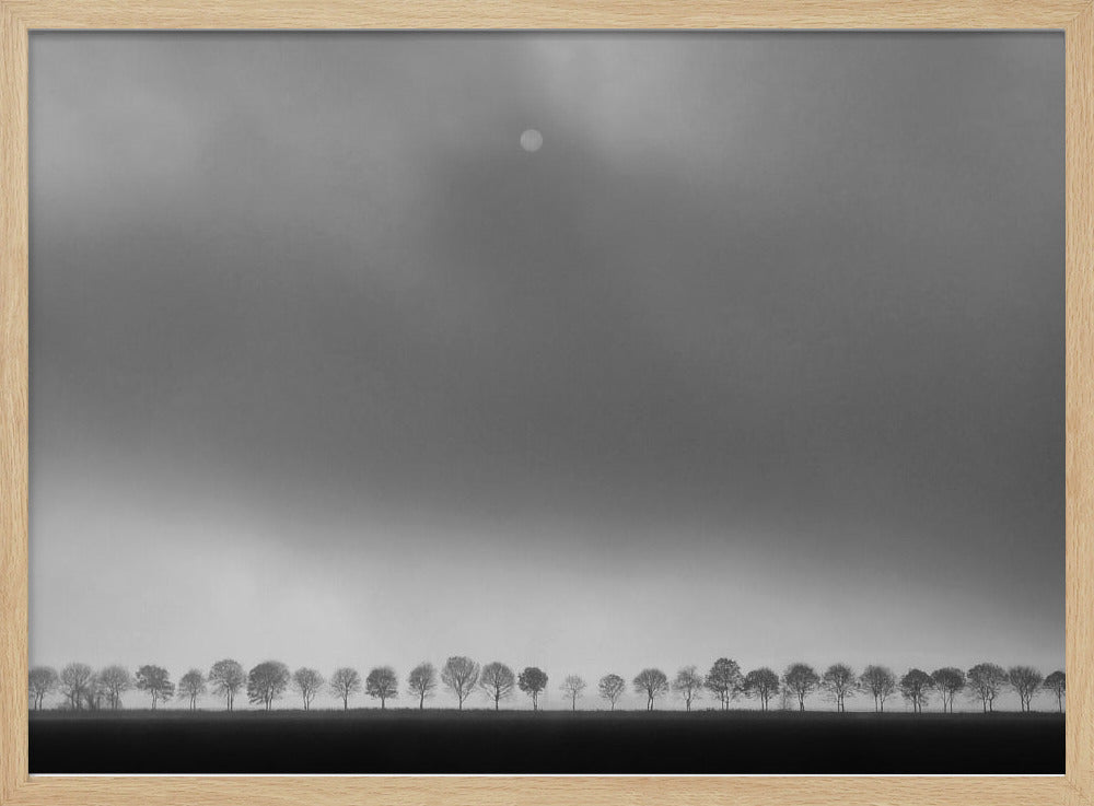 Polderlandschap | Poster