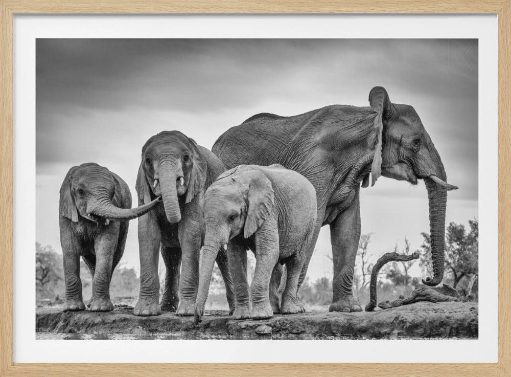 Een gigantische eenheid | Poster