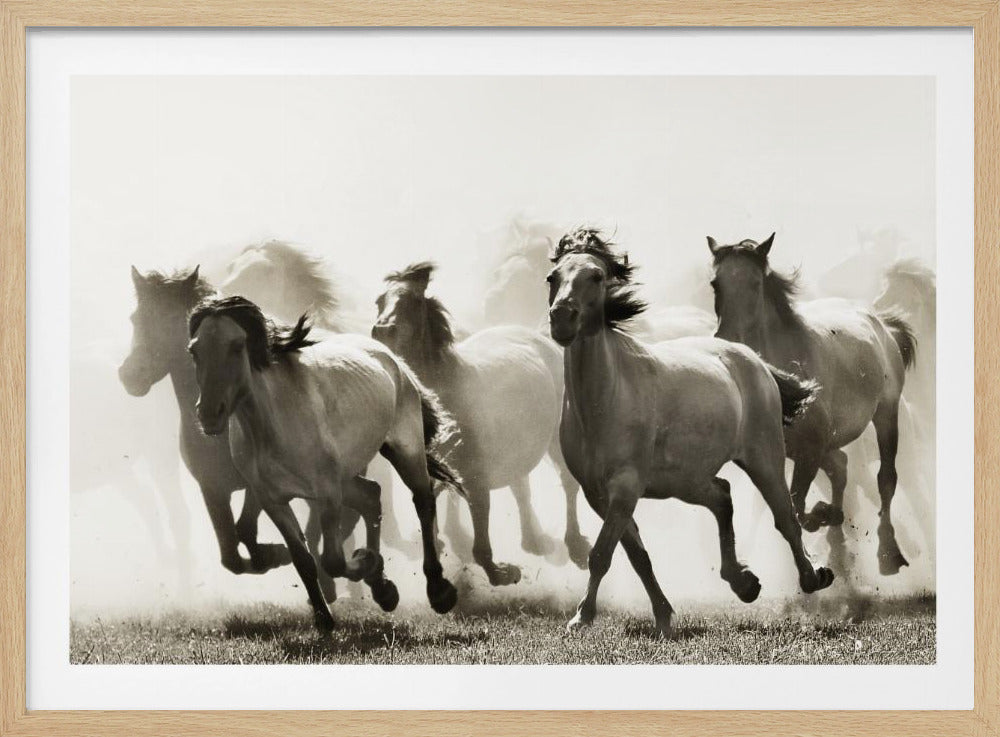 Paard | Poster