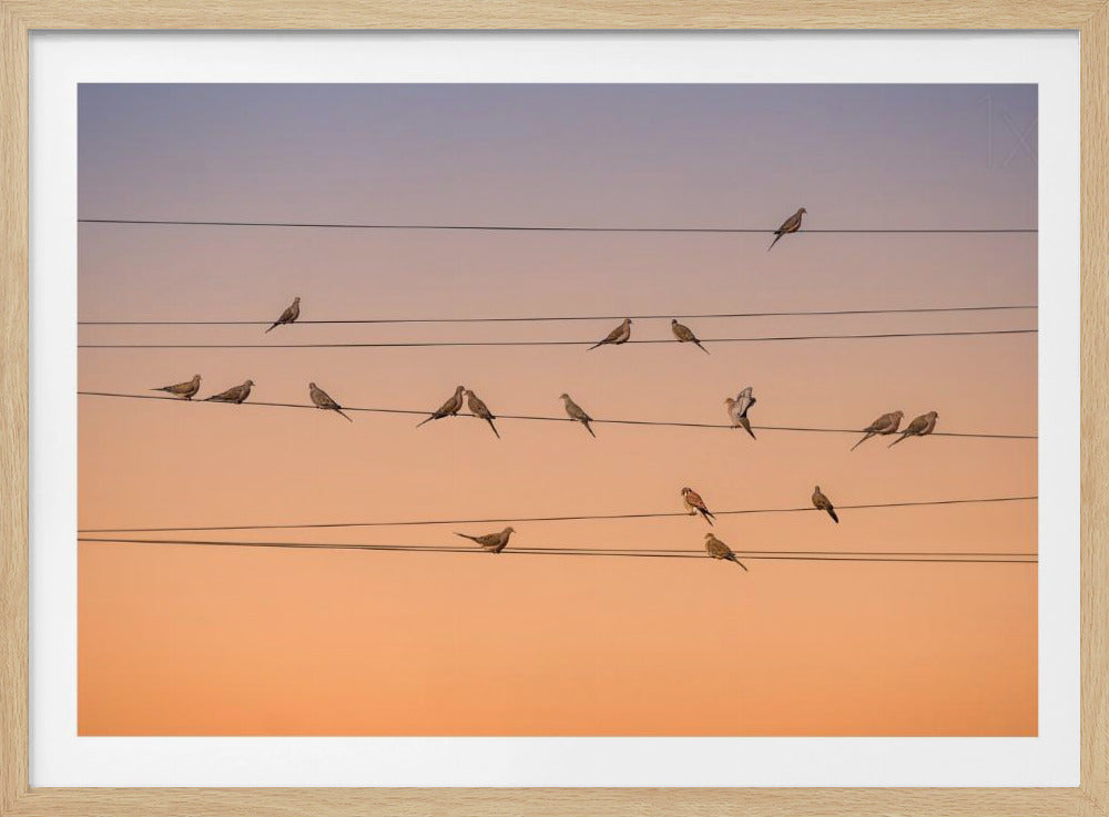 Muziek van Licht | Poster