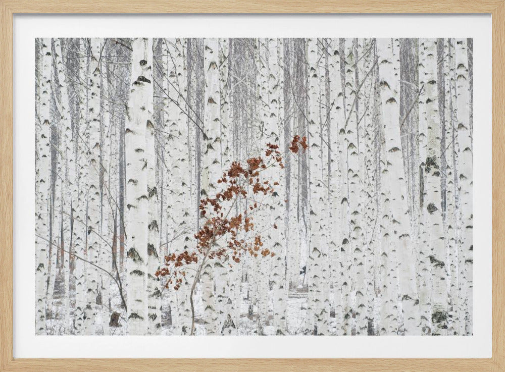 From White | Poster