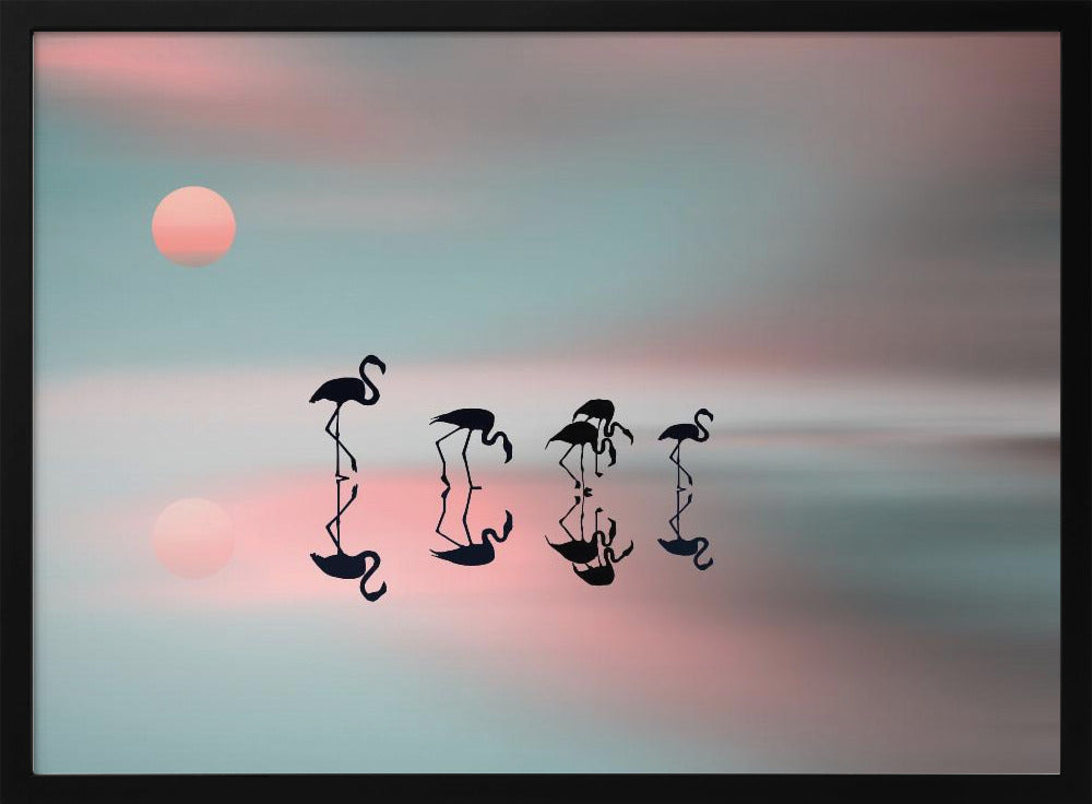 Familie flamingo's. | Poster