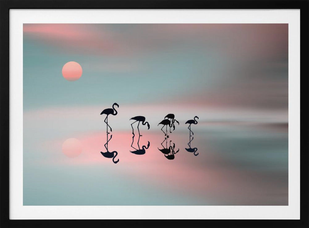 Familie flamingo's. | Poster