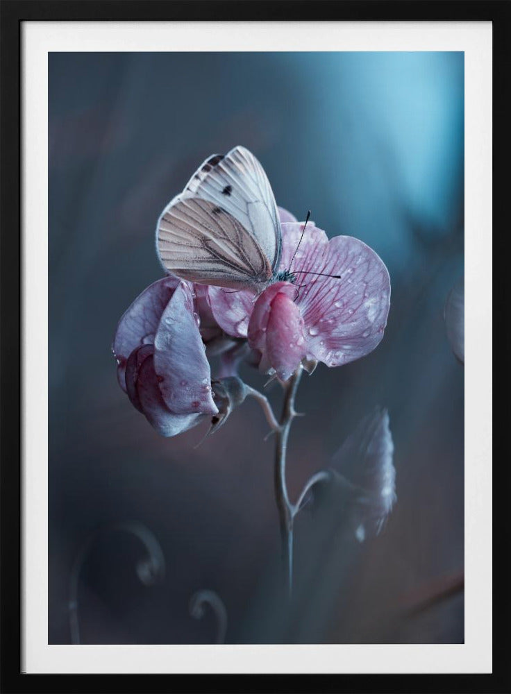 Besmette liefde | Poster