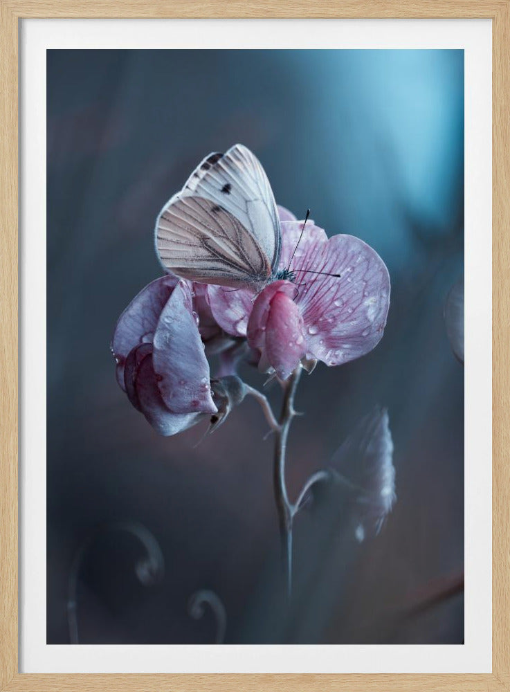 Besmette liefde | Poster
