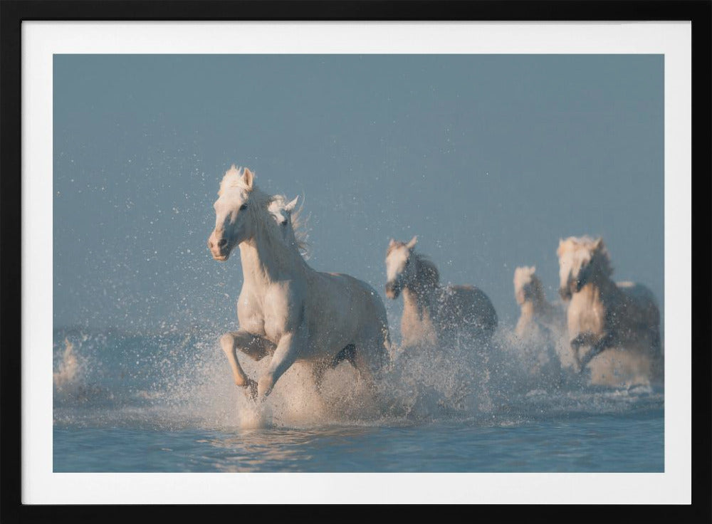 Engelen van de Camargue | Poster