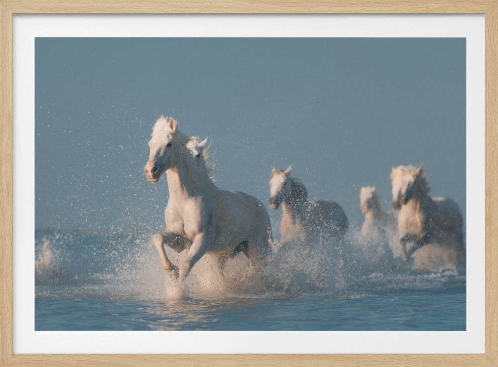 Engelen van de Camargue | Poster