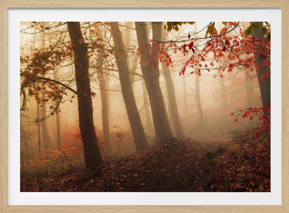 Op weg naar het licht. | Poster