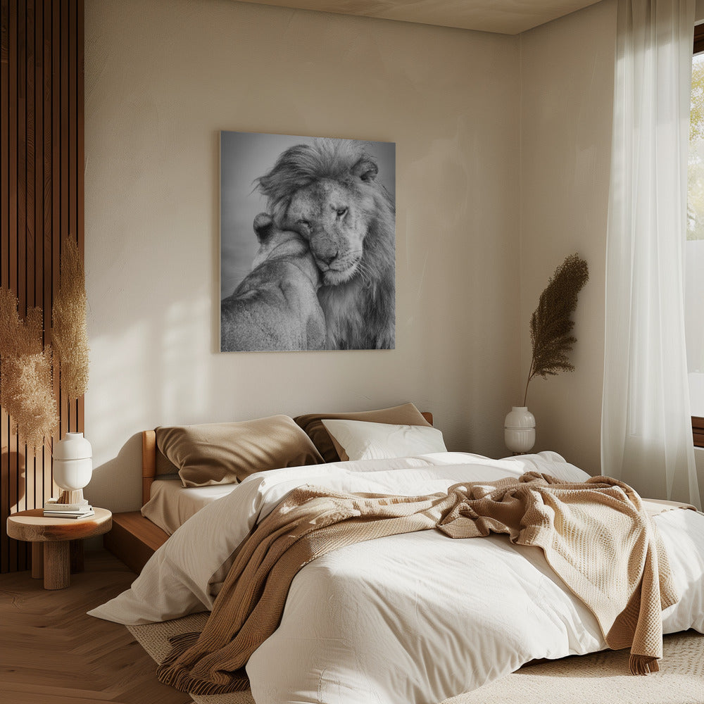 Afrikaanse liefde! | Canvas