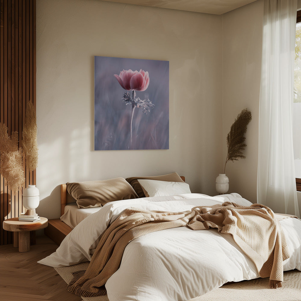 Roze! En dan? | Canvas