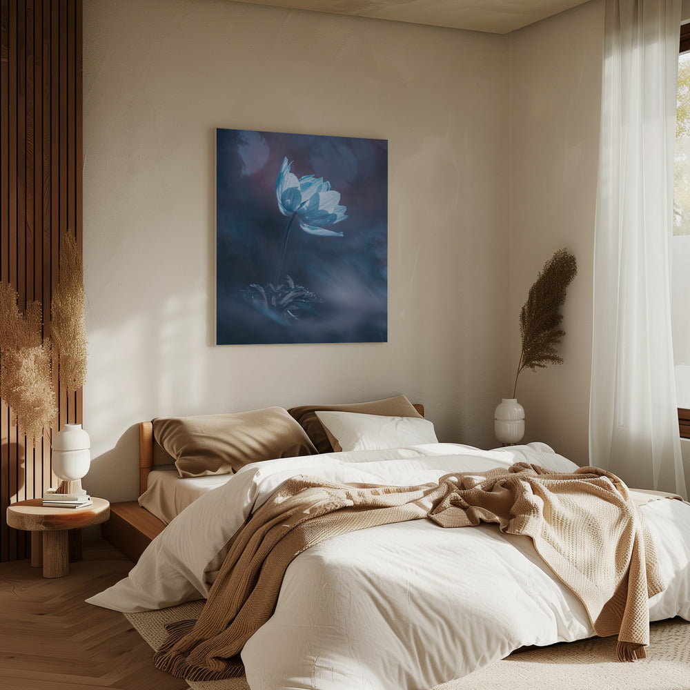 Droom verder | Canvas