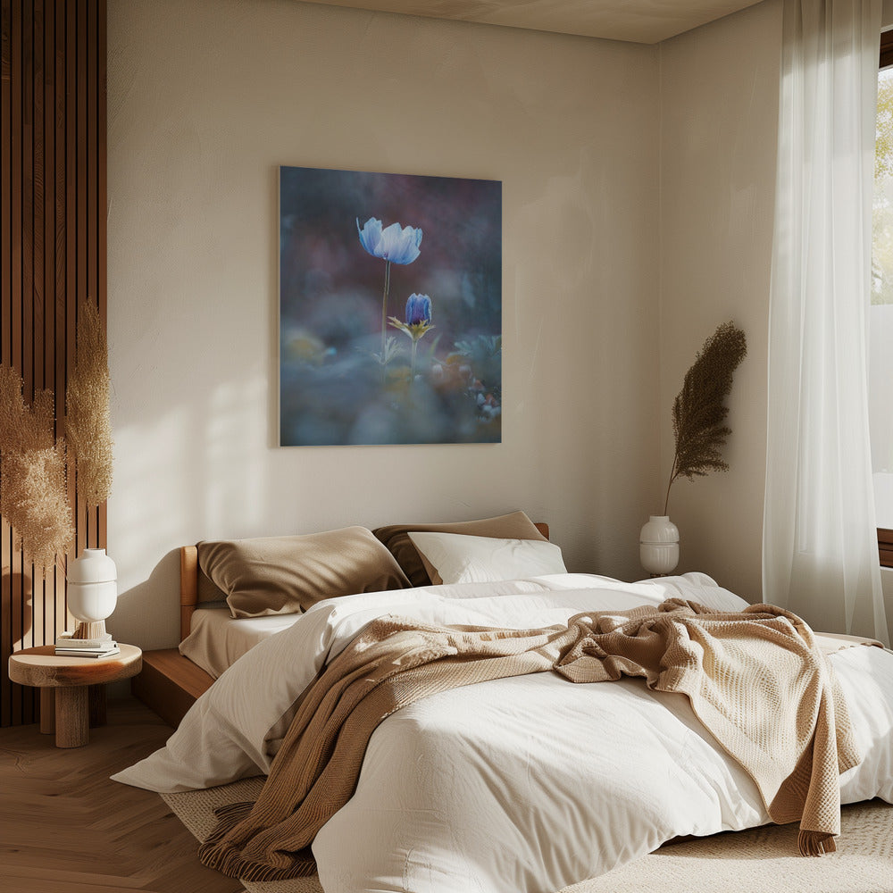 Opgroeien | Canvas