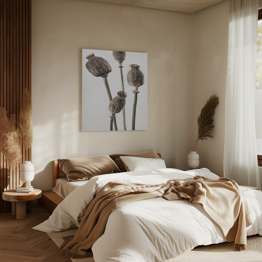 Dried_006 | Canvas