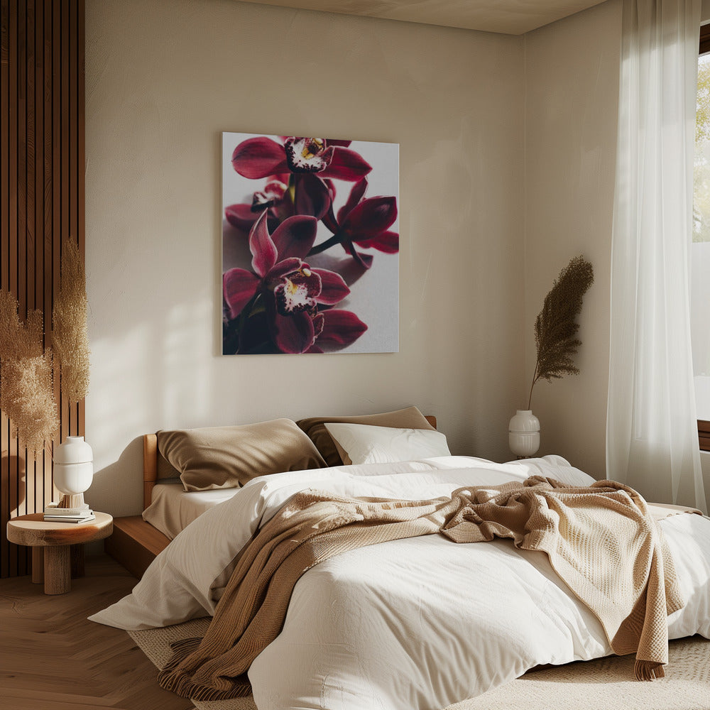 Rode orchideeën met delicate bloemblaadjes | Canvas