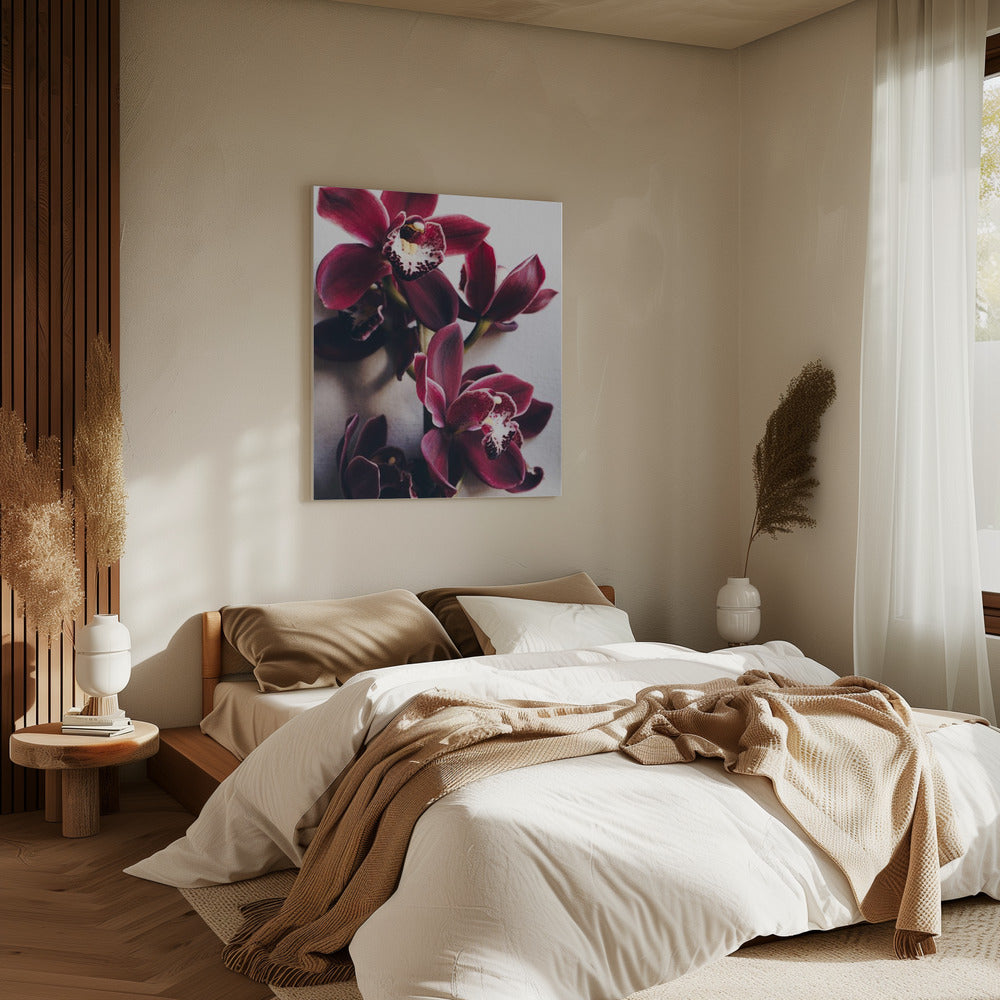 Orchideeën Elegantie | Canvas