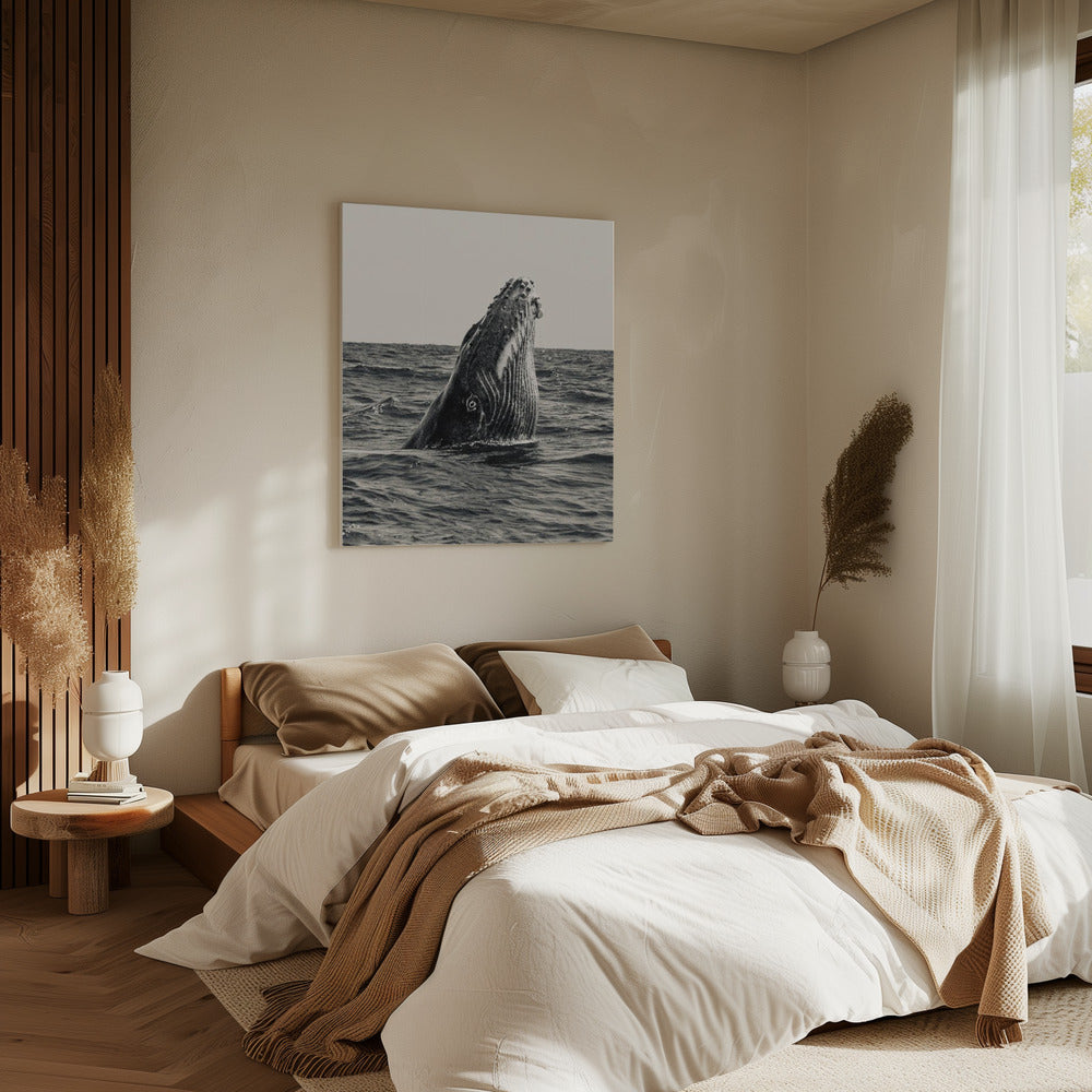 Geheim van de Walvis | Canvas