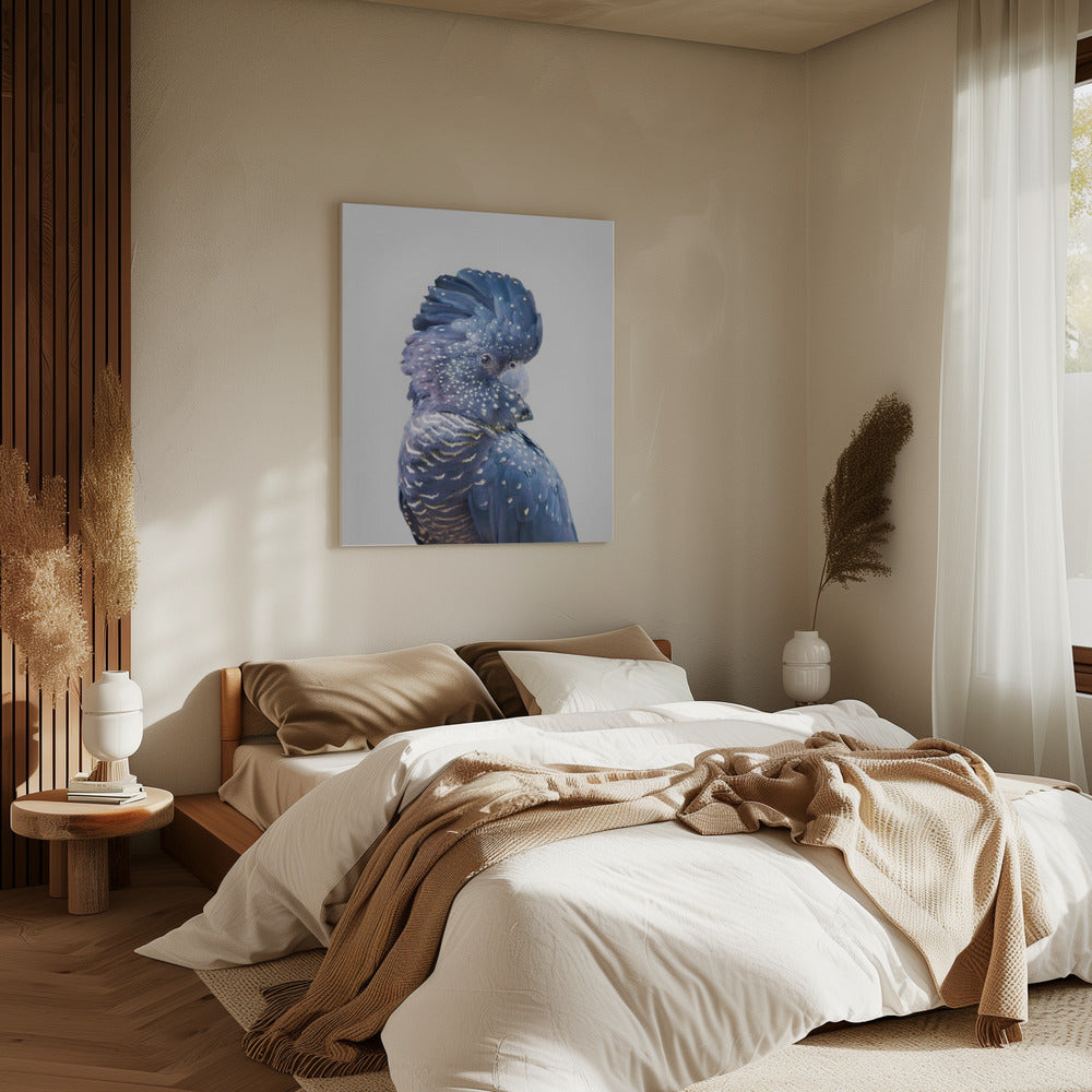 Zwarte Kaketoe | Canvas