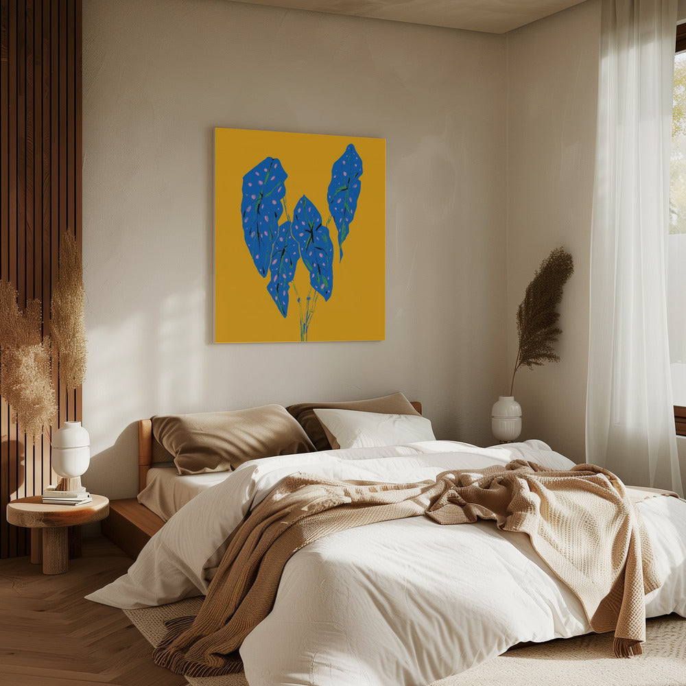 Begonia Maculata Blauw en Geel | Canvas