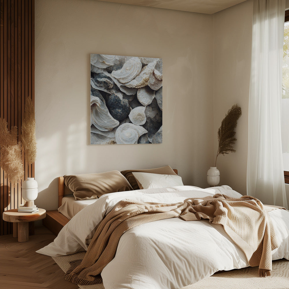Schelpen en steen | Canvas