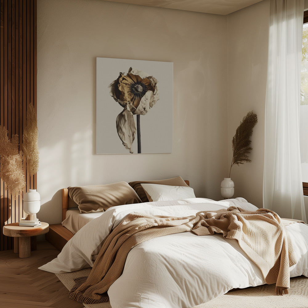 Vervagende elegantie | Canvas