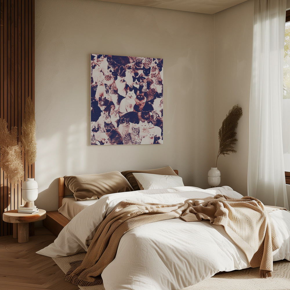 Cats Forever | Canvas