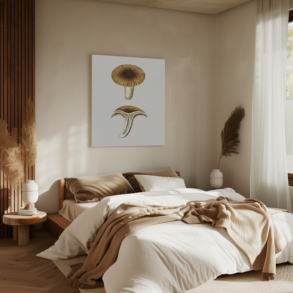 Vintage Cantharellen Eetbare Paddenstoel | Canvas