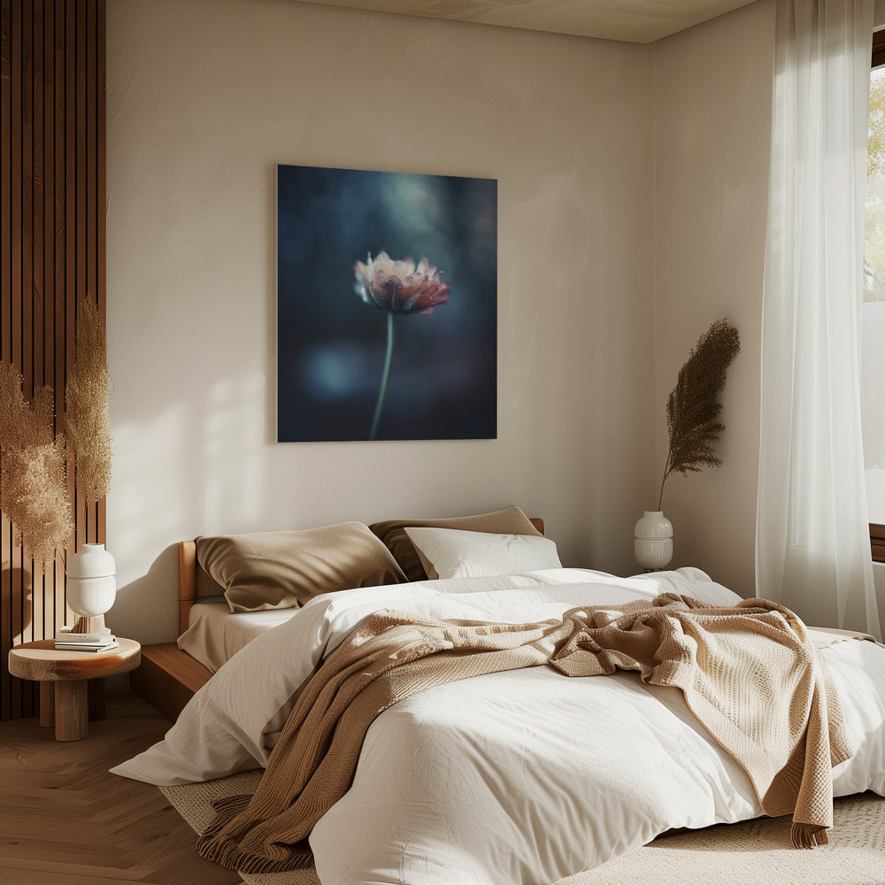 Dauwgekuste bloesem | Canvas