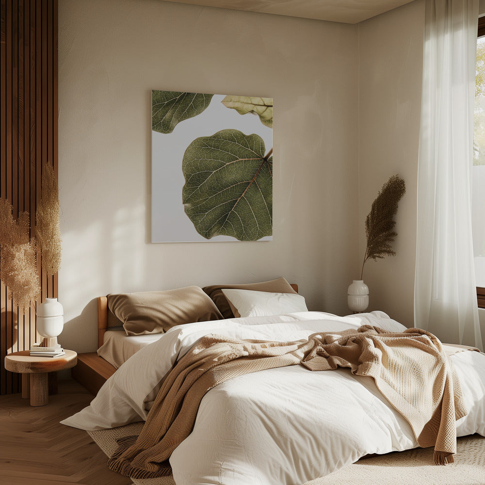 Leaf Vein Tapestry | Canvas