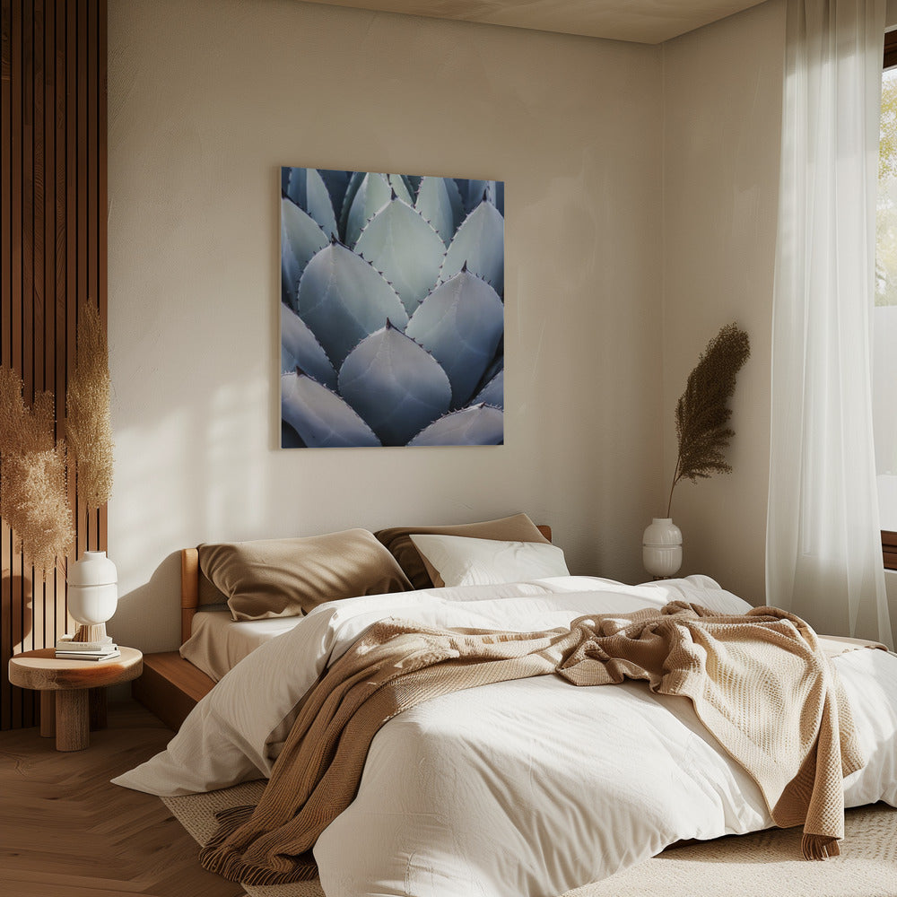 Agave Geometrie | Canvas