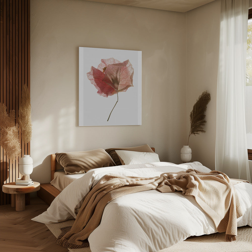 Bloemblaadjesfluistering | Canvas