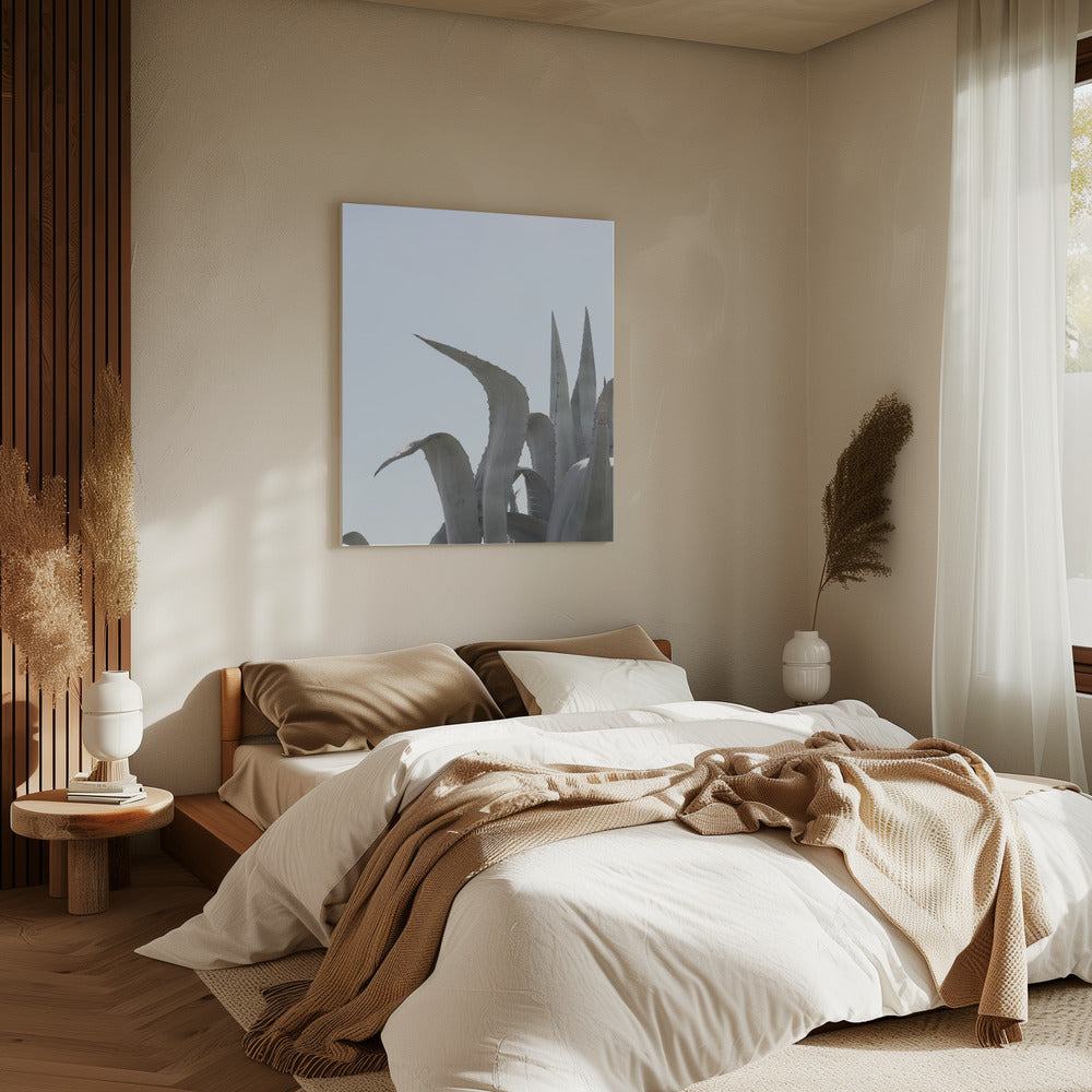 Azuurblauwe Agave Dromen | Canvas